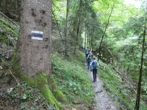 2025-09-16-SAC-Ueble-Schlucht-110