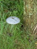 2025-09-16-SAC-Ueble-Schlucht-139
