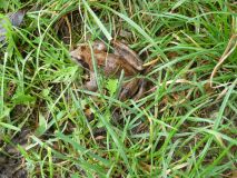 2025-09-16-SAC-Ueble-Schlucht-140_bearbeitet-1