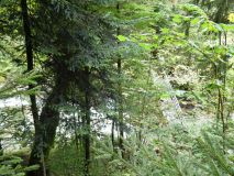 2025-09-16-SAC-Ueble-Schlucht-146_bearbeitet-1