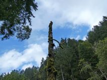 2025-09-16-SAC-Ueble-Schlucht-150_bearbeitet-1