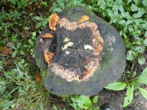2025-09-16-SAC-Ueble-Schlucht-151