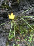 2025-09-16-SAC-Ueble-Schlucht-156