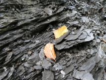 2025-09-16-SAC-Ueble-Schlucht-165