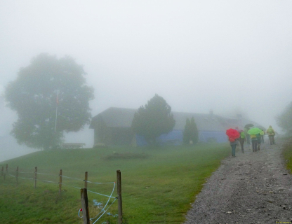 2025-09-30-SAC-Wielesch-1279-030_bearbeitet-1
