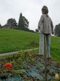 2025-09-30-SAC-Wielesch-1279-008_bearbeitet-1