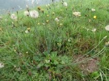 2025-09-30-SAC-Wielesch-1279-011