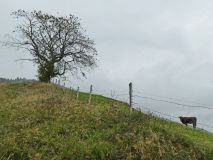 2025-09-30-SAC-Wielesch-1279-018_bearbeitet-1