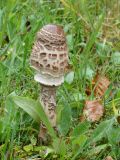 2025-09-30-SAC-Wielesch-1279-088