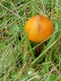2025-09-30-SAC-Wielesch-1279-092_bearbeitet-1