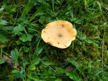 2025-09-30-SAC-Wielesch-1279-094_bearbeitet-1