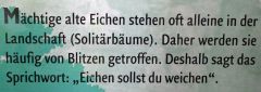 2025-09-30-SAC-Wielesch-1279-121_bearbeitet-1