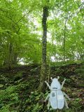 2025-09-30-SAC-Wielesch-1279-123_bearbeitet-1