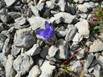 2026-09-22-SAC-Nospitz-Augsten-106