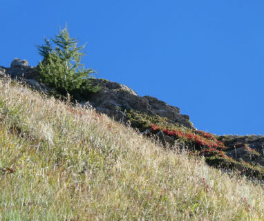 2026-09-22-SAC-Nospitz-Augsten-204_bearbeitet-1
