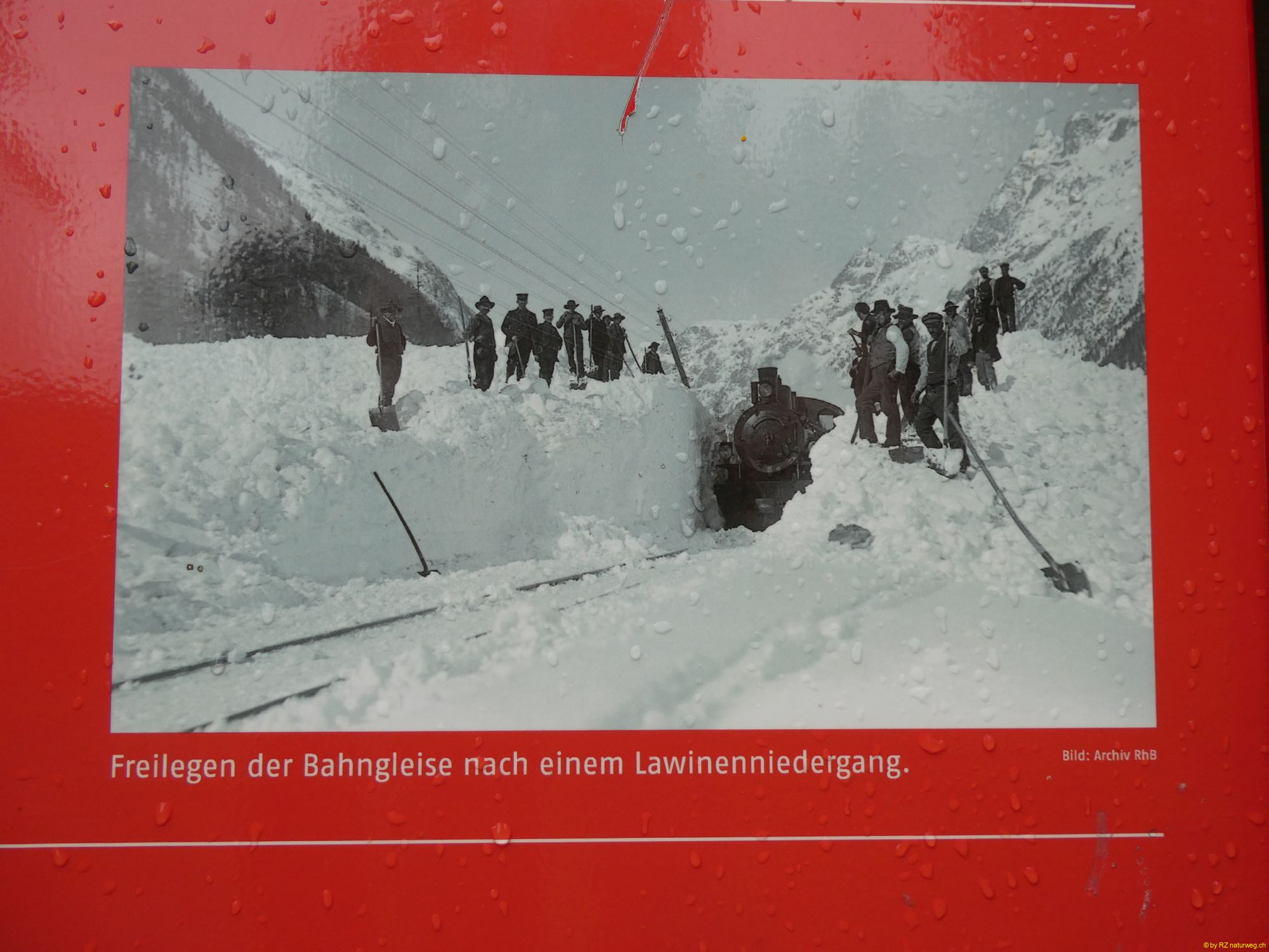2026-09-17-SAC-BerguenPreda-RhB-043