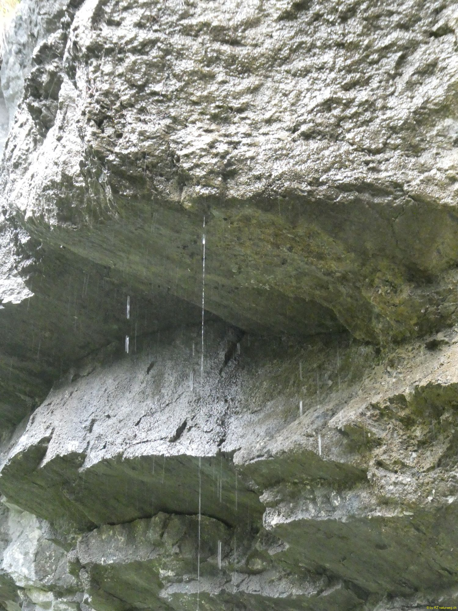 2026-09-17-SAC-BerguenPreda-RhB-072