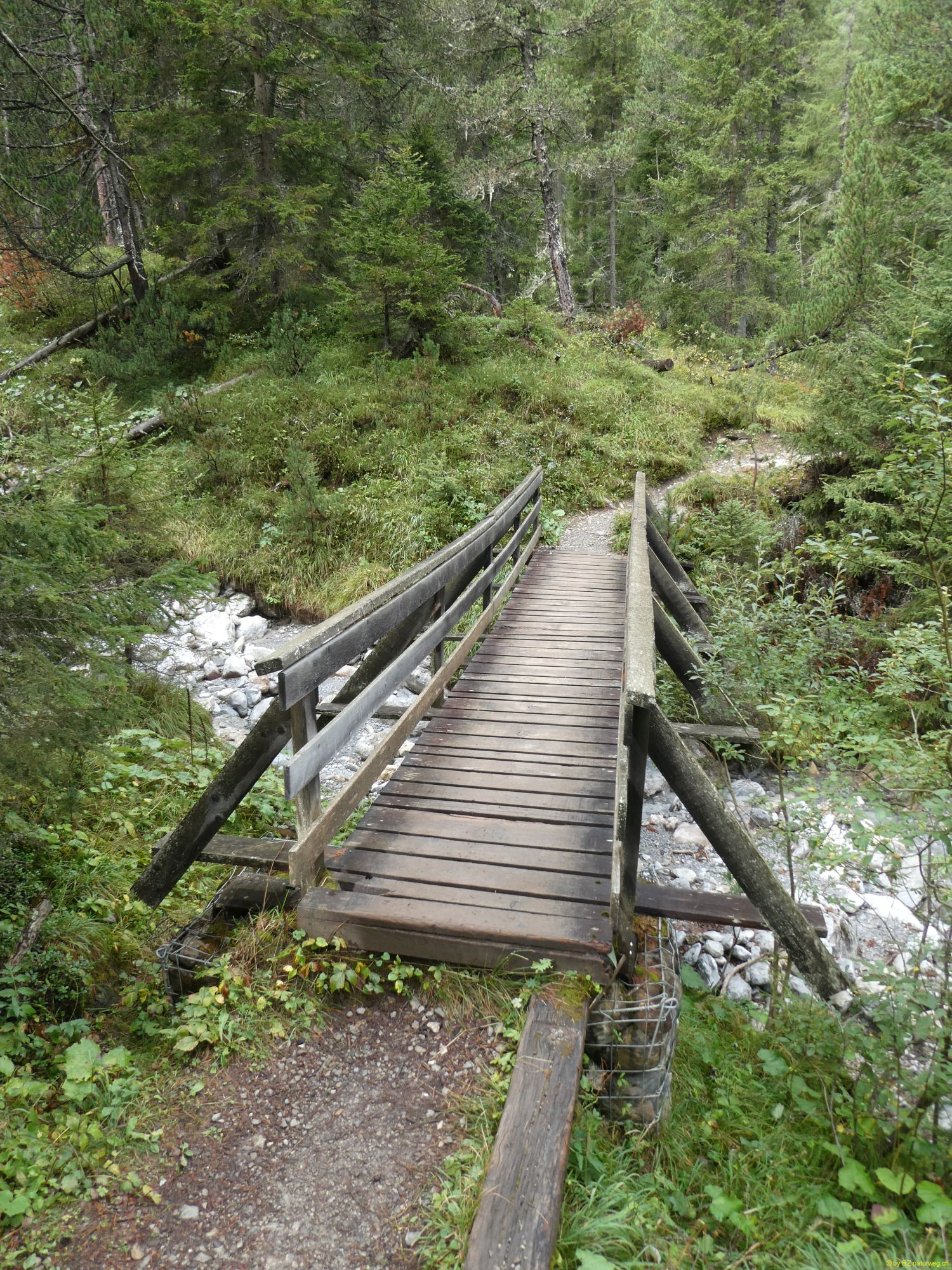 2026-09-17-SAC-BerguenPreda-RhB-093
