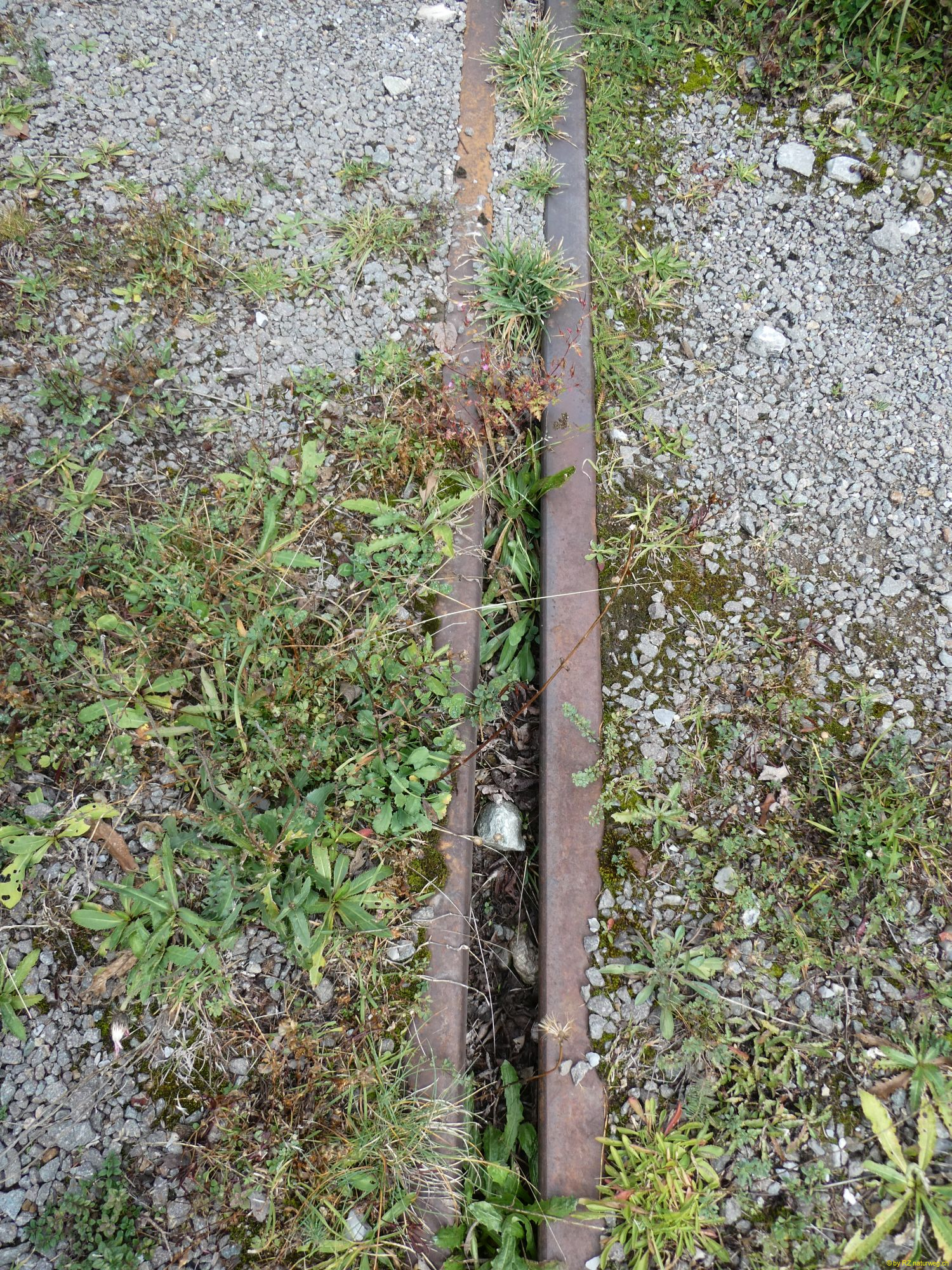 2026-09-17-SAC-BerguenPreda-RhB-109