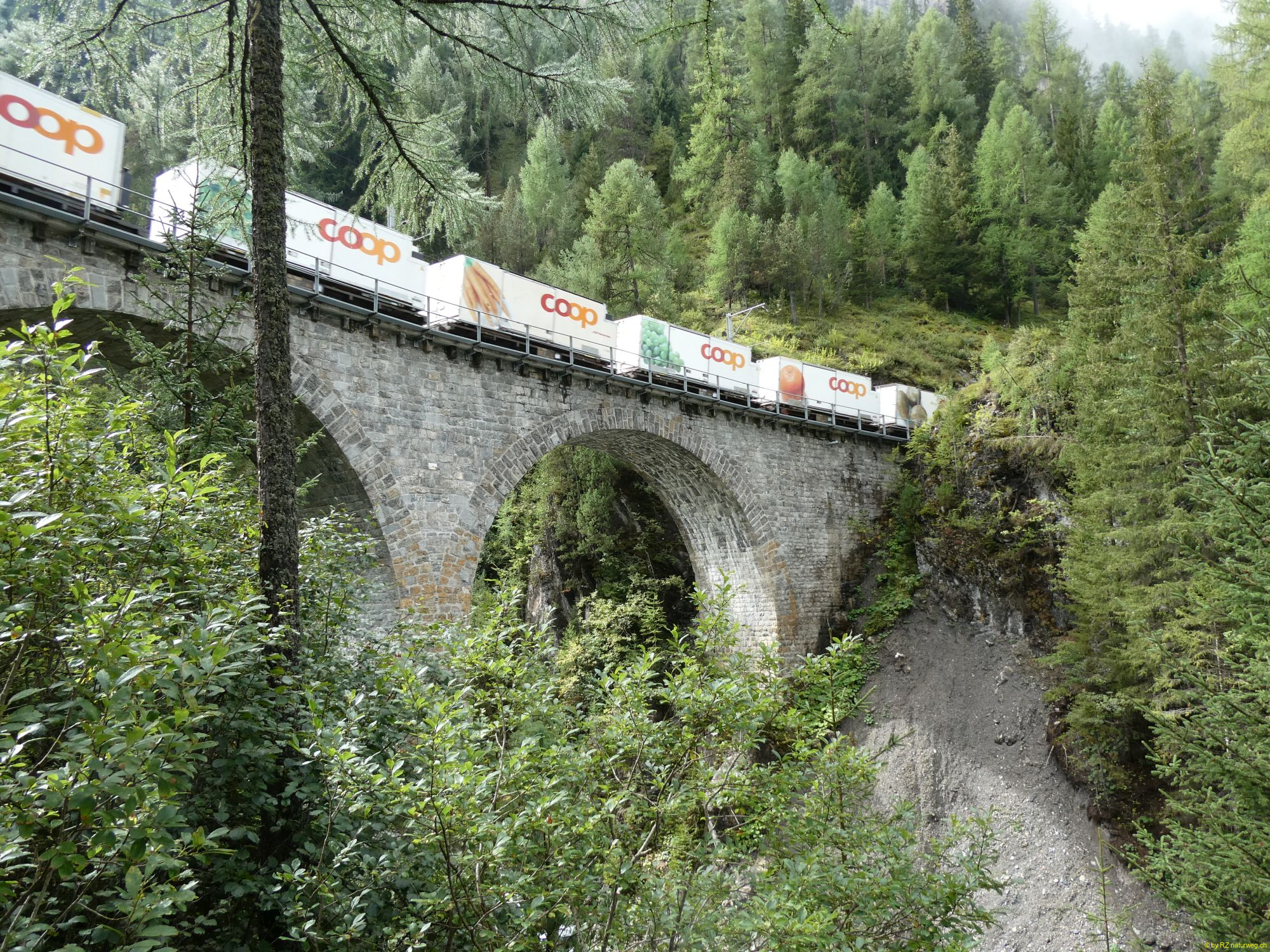 2026-09-17-SAC-BerguenPreda-RhB-139