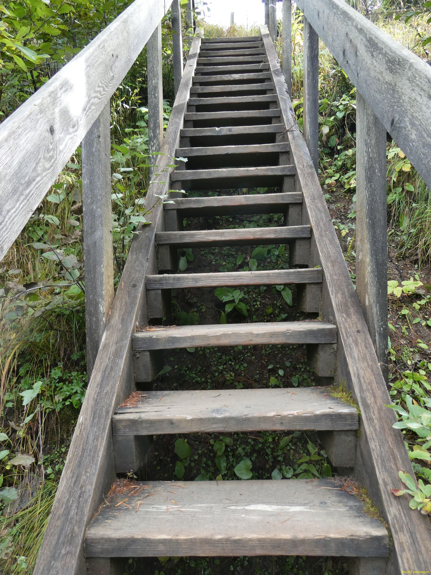 2026-09-17-SAC-BerguenPreda-RhB-145