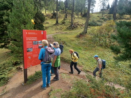 IMG-20260917-WA0031