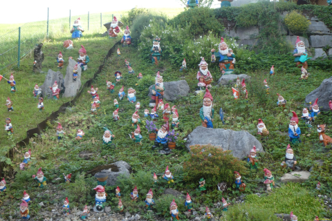2026-06-16-SAC-Waegi-Bockmattli-09