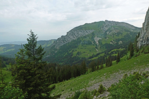 2026-06-16-SAC-Waegi-Bockmattli-29_bearbeitet-1