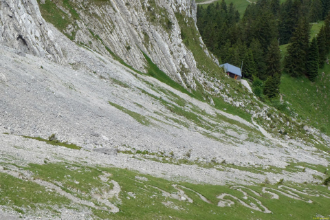 2026-06-16-SAC-Waegi-Bockmattli-38_bearbeitet-1
