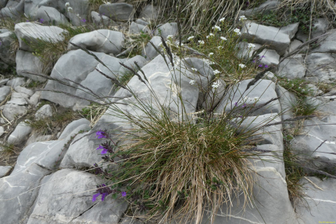 2026-06-16-SAC-Waegi-Bockmattli-43