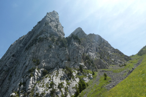 2026-06-16-SAC-Waegi-Bockmattli-82_bearbeitet-1