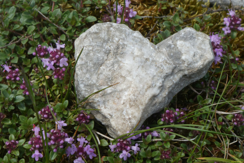 2026-06-16-SAC-Waegi-Bockmattli-85