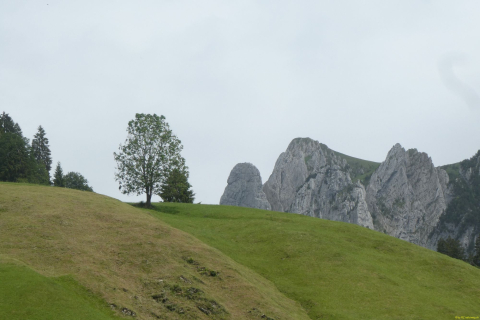 2026-06-16-SAC-Waegi-Bockmattli-92