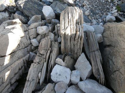2026-08-04-SAC-Forno-Pano-Malo-100