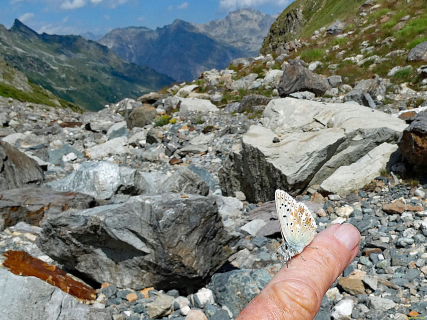 2026-08-04-SAC-Forno-Pano-Malo-257_bearbeitet-1