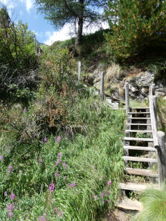 2026-08-04-SAC-Forno-Pano-Malo-284