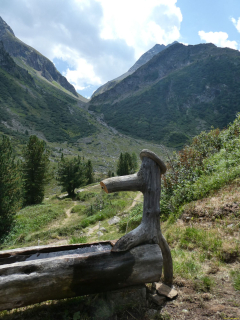 2026-08-04-SAC-Forno-Pano-Malo-290