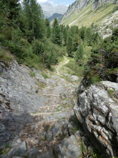 2026-08-04-SAC-Forno-Pano-Malo-292
