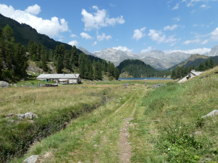 2026-08-04-SAC-Forno-Pano-Malo-294
