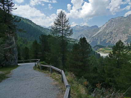2026-08-04-SAC-Forno-Pano-Malo-300_bearbeitet-1