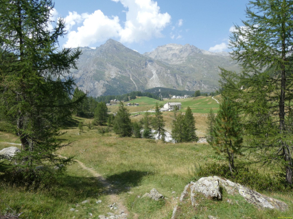 2026-08-04-SAC-Forno-Pano-Malo-302