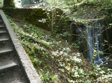 2026-04-28-SACRS-A-Schauenberg-08-1