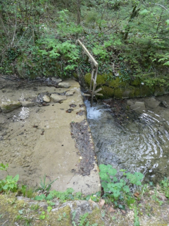 2026-04-28-SACRS-A-Schauenberg-14-1