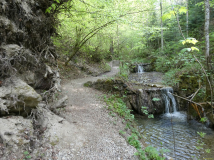 2026-04-28-SACRS-A-Schauenberg-16-1