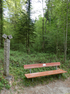 2026-04-28-SACRS-A-Schauenberg-20-1