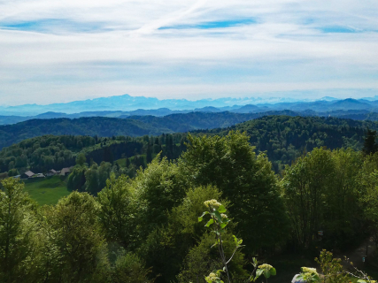 2026-04-28-SACRS-A-Schauenberg-35_bearbeitet-1-1