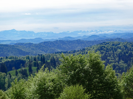 2026-04-28-SACRS-A-Schauenberg-37_bearbeitet-1-1