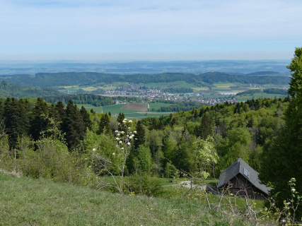 2026-04-28-SACRS-A-Schauenberg-38_bearbeitet-1-1