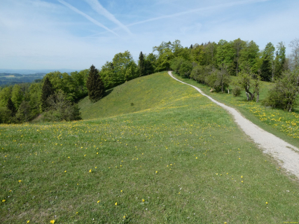 2026-04-28-SACRS-A-Schauenberg-47-1