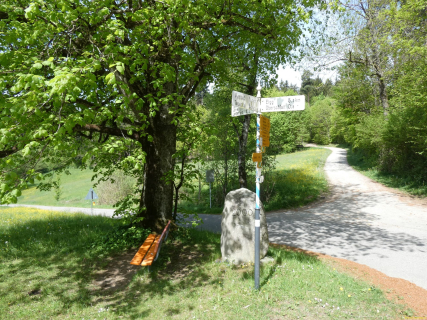 2026-04-28-SACRS-A-Schauenberg-55-1